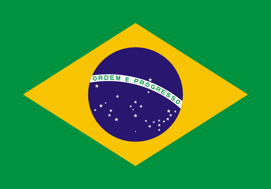 Brezilya Bayra, Brezilya Bayrak Resmi