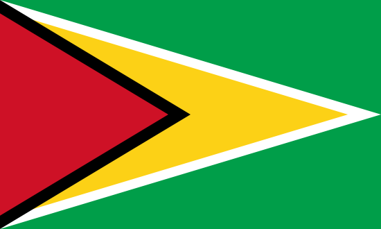 Guyana Bayra, Guyana Bayrak Resmi
