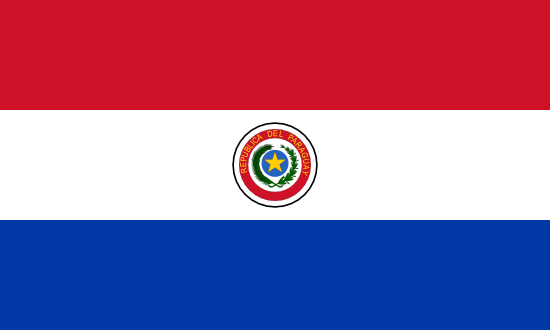 Paraguay Bayra, Paraguay Bayrak Resmi