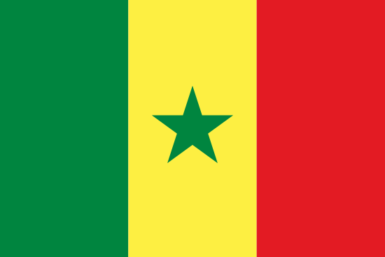 Senegal Bayra, Senegal Bayrak Resmi