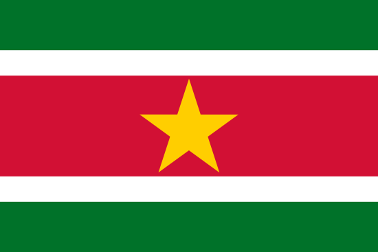Surinam Bayra, Surinam Bayrak Resmi