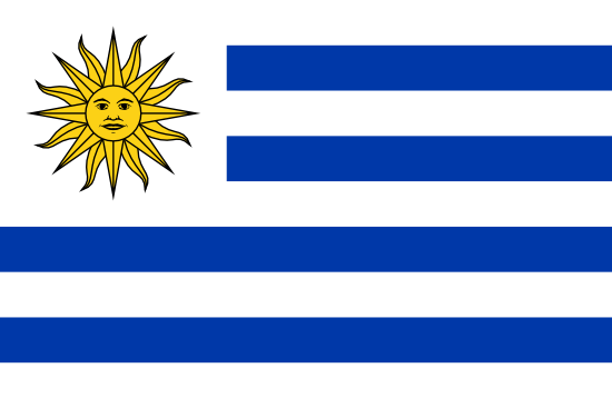 Uruguay Bayra, Uruguay Bayrak Resmi