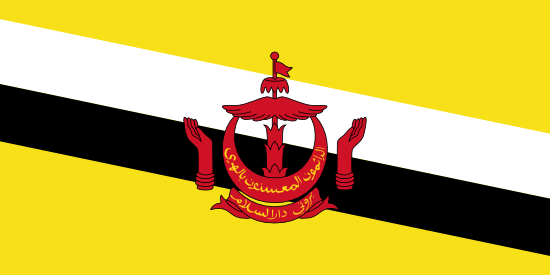 Brunei Bayra, Brunei Bayrak Resmi