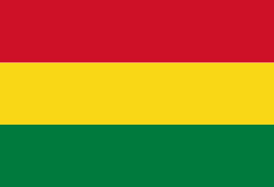 Bolivya Bayra, Bolivya Bayrak Resmi