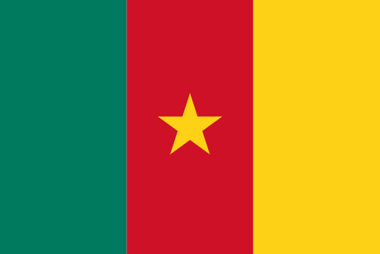 Kamerun Bayra, Kamerun Bayrak Resmi