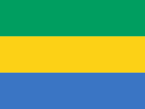 Gabon Bayra, Gabon Bayrak Resmi