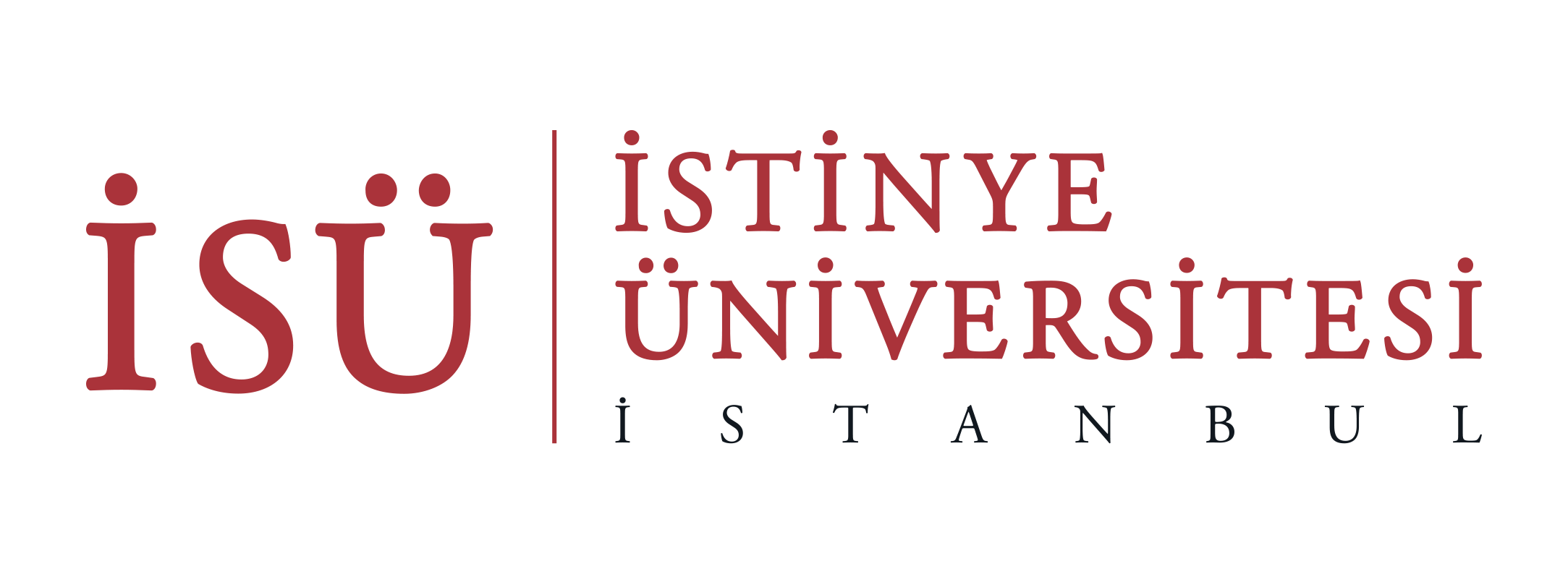 stinye niversitesi