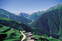 ayeli civarnda yaylalar