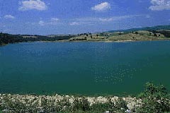 Kaynarca Aslanlar Gleti