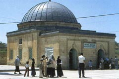 Veysel Karani Trbesi