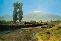 Ararat