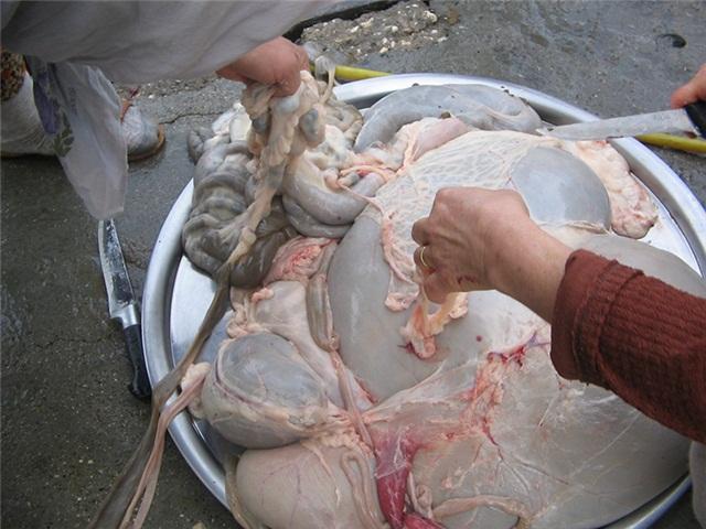 Göynek Sarması (Göynek Dolması) Tarifi Göynek Sarması (Göynek Dolması)