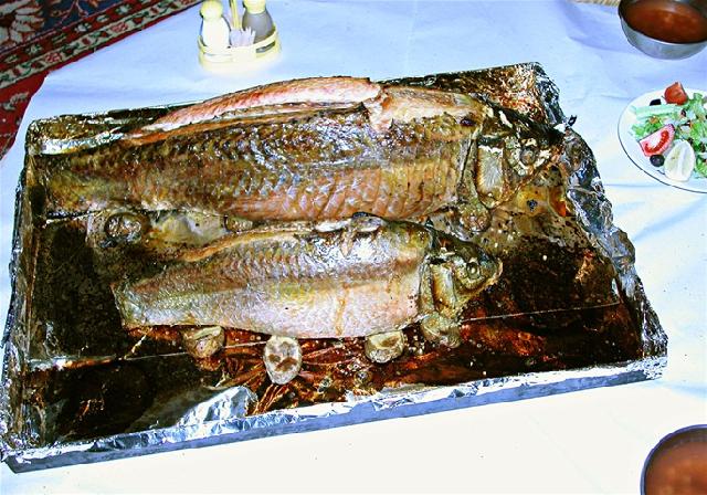 Sazan Dolması (Çapak Dolması) Tarifi Sazan Dolması (Çapak Dolması)