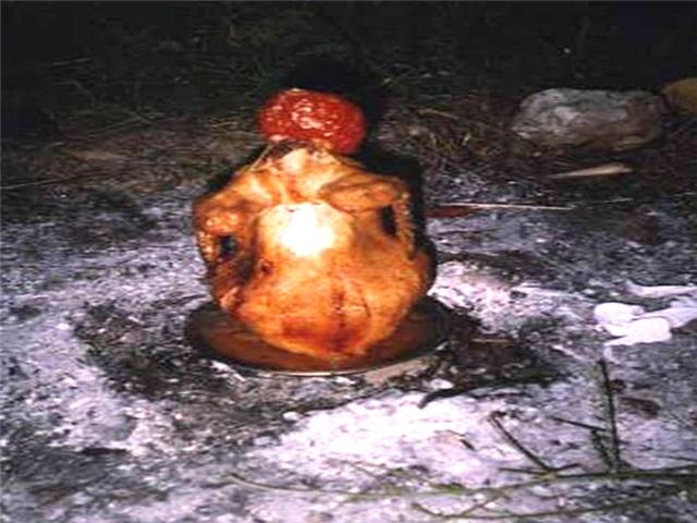 Teneke Kebabı (Teneke Tavuk) Tarifi Teneke Kebabı (Teneke Tavuk)